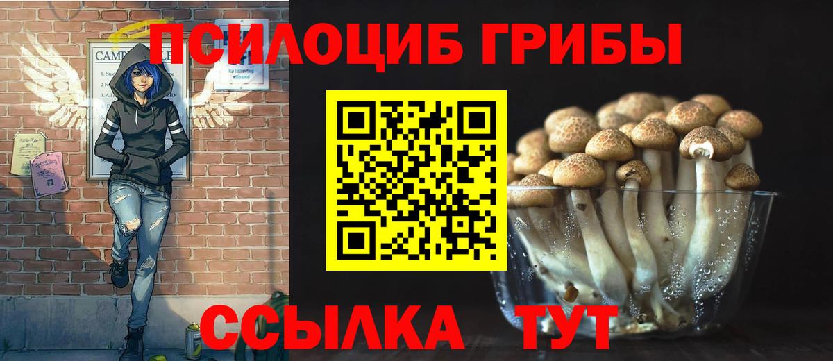 Первоуральск  Псилоцибиновые грибы Psilocybe  Вход с VPN 